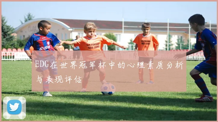 EDG在世界冠军杯中的心理素质分析与表现评估