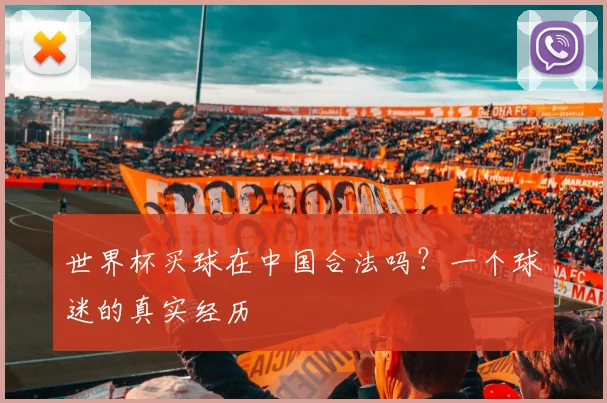 世界杯买球在中国合法吗？一个球迷的真实经历