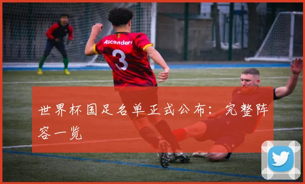 世界杯国足名单正式公布：完整阵容一览