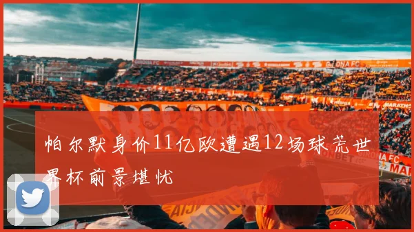 帕尔默身价11亿欧遭遇12场球荒世界杯前景堪忧