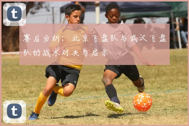 赛后分析：北京飞盘队与武汉飞盘队的战术对决与启示