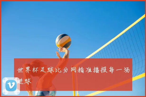世界杯足球比分网精准播报每一场进球