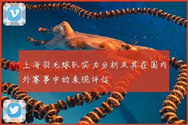 上海羽毛球队实力分析及其在国内外赛事中的表现评估