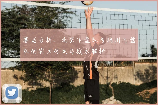 赛后分析：北京飞盘队与杭州飞盘队的实力对决与战术解析