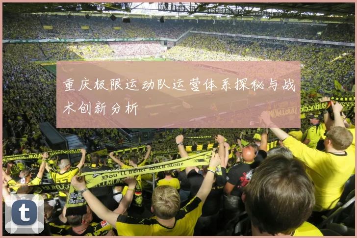 重庆极限运动队运营体系探秘与战术创新分析